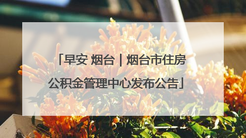 早安 烟台｜烟台市住房公积金管理中心发布公告