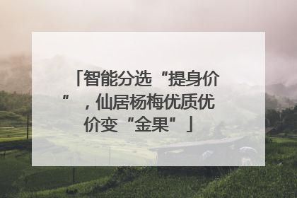 智能分选“提身价”，仙居杨梅优质优价变“金果”