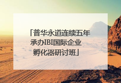 普华永道连续五年承办IBI国际企业孵化器研讨班
