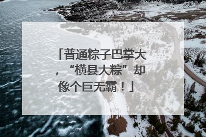 普通粽子巴掌大，“横县大粽”却像个巨无霸！