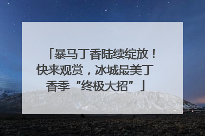 暴马丁香陆续绽放！快来观赏，冰城最美丁香季“终极大招”