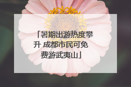 暑期出游热度攀升 成都市民可免费游武夷山
