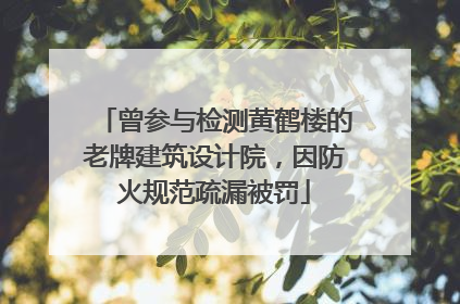 曾参与检测黄鹤楼的老牌建筑设计院，因防火规范疏漏被罚