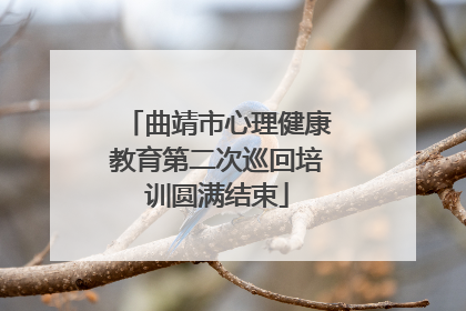 曲靖市心理健康教育第二次巡回培训圆满结束