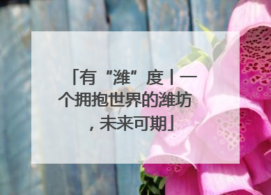 有“潍”度丨一个拥抱世界的潍坊，未来可期