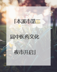 本溪市第二届中医药文化夜市开启