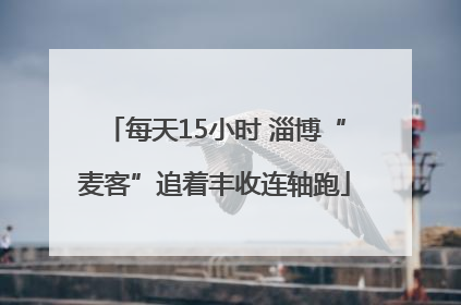 每天15小时 淄博“麦客”追着丰收连轴跑
