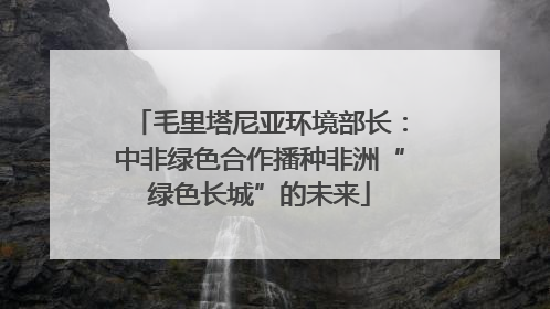 毛里塔尼亚环境部长：中非绿色合作播种非洲“绿色长城”的未来