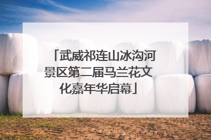 武威祁连山冰沟河景区第二届马兰花文化嘉年华启幕