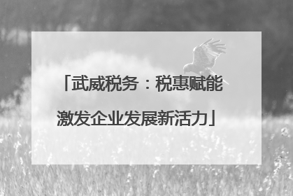 武威税务：税惠赋能 激发企业发展新活力