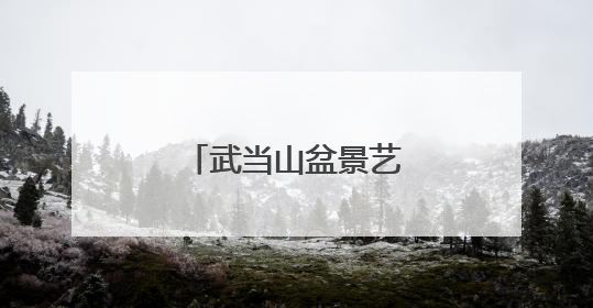 武当山盆景艺术文化展开展