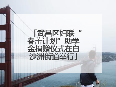 武昌区妇联“春蕾计划”助学金捐赠仪式在白沙洲街道举行