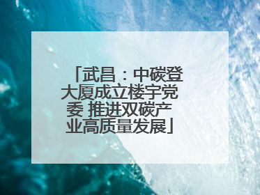 武昌：中碳登大厦成立楼宇党委 推进双碳产业高质量发展