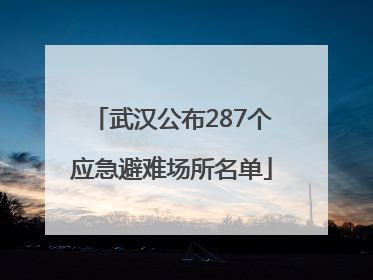武汉公布287个应急避难场所名单