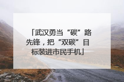 武汉勇当“碳”路先锋，把“双碳”目标装进市民手机