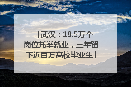 武汉：18.5万个岗位托举就业，三年留下近百万高校毕业生