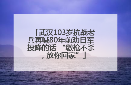武汉103岁抗战老兵再喊80年前劝日军投降的话 “缴枪不杀，放你回家”