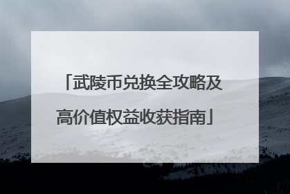 武陵币兑换全攻略及高价值权益收获指南