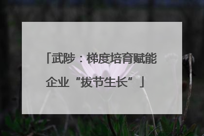 武陟：梯度培育赋能企业“拔节生长”