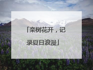栾树花开，记录夏日浪漫