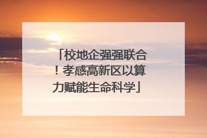 校地企强强联合！孝感高新区以算力赋能生命科学