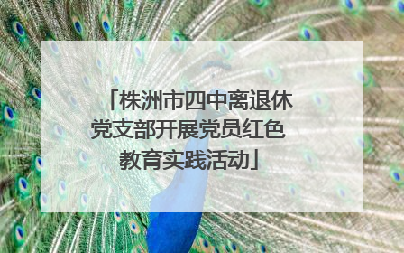 株洲市四中离退休党支部开展党员红色教育实践活动