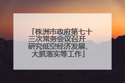 株洲市政府第七十三次常务会议召开 研究低空经济发展、大抓落实等工作