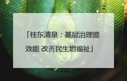 桂东清泉：基层治理提效能 改善民生增福祉