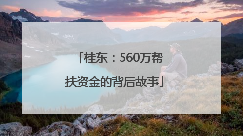 桂东：560万帮扶资金的背后故事