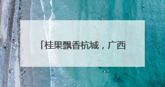 桂果飘香杭城，广西夏季文化旅游推广暨水果推介活动举行