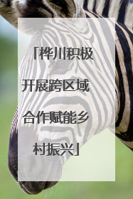 桦川积极开展跨区域合作赋能乡村振兴