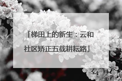 梯田上的新生：云和社区矫正五载耕耘路