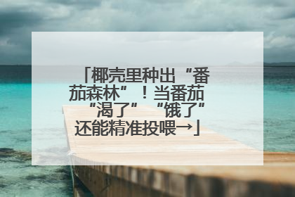 椰壳里种出“番茄森林”！当番茄“渴了”“饿了”还能精准投喂→