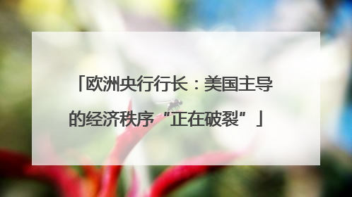 欧洲央行行长：美国主导的经济秩序“正在破裂”