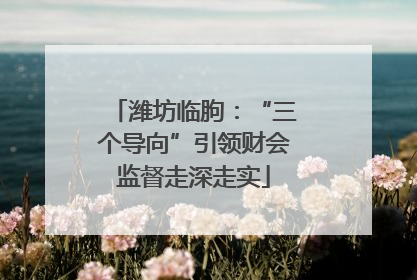 潍坊临朐：“三个导向”引领财会监督走深走实
