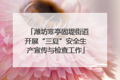 潍坊寒亭固堤街道开展“三夏”安全生产宣传与检查工作