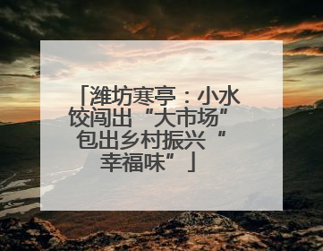潍坊寒亭：小水饺闯出“大市场” 包出乡村振兴“幸福味”