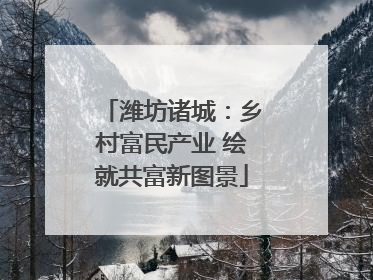 潍坊诸城：乡村富民产业 绘就共富新图景