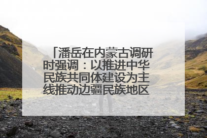 潘岳在内蒙古调研时强调：以推进中华民族共同体建设为主线推动边疆民族地区高质量发展