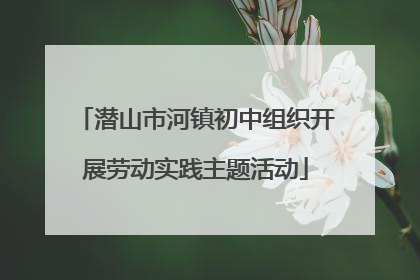 潜山市河镇初中组织开展劳动实践主题活动