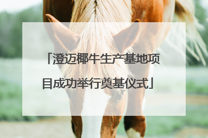澄迈椰牛生产基地项目成功举行奠基仪式