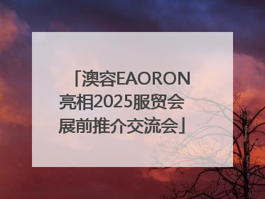 澳容EAORON亮相2025服贸会展前推介交流会