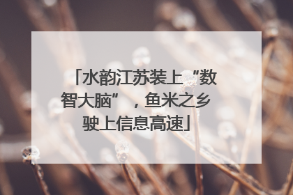 水韵江苏装上“数智大脑”，鱼米之乡驶上信息高速