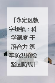 永定区教字垭镇：科学调度 干群合力 筑牢防洪抢险坚固防线
