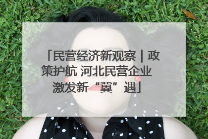 民营经济新观察｜政策护航 河北民营企业激发新“冀”遇