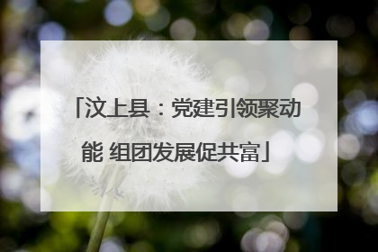 汶上县：党建引领聚动能 组团发展促共富