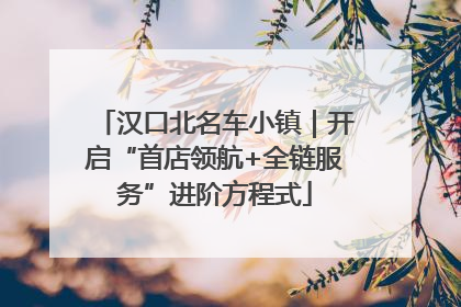 汉口北名车小镇｜开启“首店领航+全链服务”进阶方程式