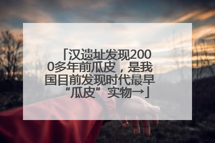 汉遗址发现2000多年前瓜皮，是我国目前发现时代最早“瓜皮”实物→