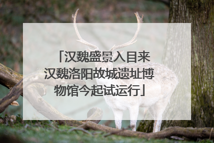 汉魏盛景入目来 汉魏洛阳故城遗址博物馆今起试运行