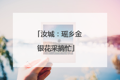 汝城：瑶乡金银花采摘忙